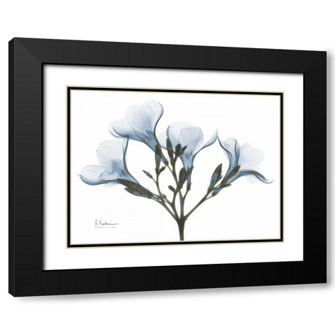 Oleander in Blue Black Modern Wood Framed Art Print with Double Matting by Koetsier, Albert