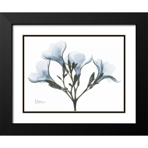 Oleander in Blue Black Modern Wood Framed Art Print with Double Matting by Koetsier, Albert