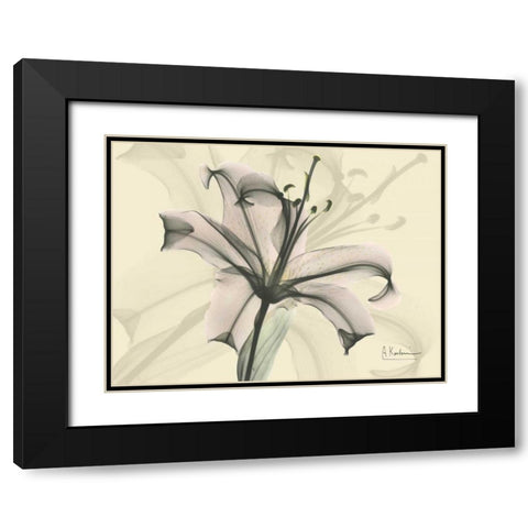 Lily in Pink on Beige Black Modern Wood Framed Art Print with Double Matting by Koetsier, Albert