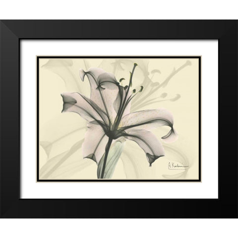 Lily in Pink on Beige Black Modern Wood Framed Art Print with Double Matting by Koetsier, Albert