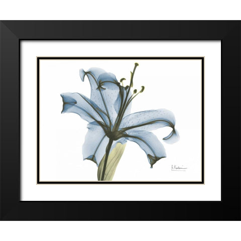 Lily in Pink on Blue Black Modern Wood Framed Art Print with Double Matting by Koetsier, Albert