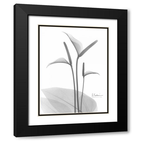 Flamingo in BandW Black Modern Wood Framed Art Print with Double Matting by Koetsier, Albert