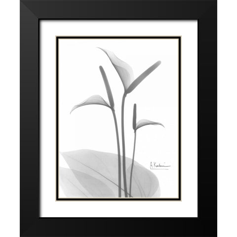 Flamingo in BandW Black Modern Wood Framed Art Print with Double Matting by Koetsier, Albert