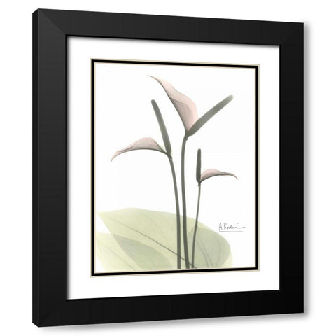 Flamingo in Color Black Modern Wood Framed Art Print with Double Matting by Koetsier, Albert