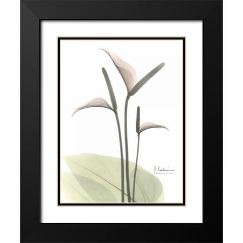 Flamingo in Color Black Modern Wood Framed Art Print with Double Matting by Koetsier, Albert