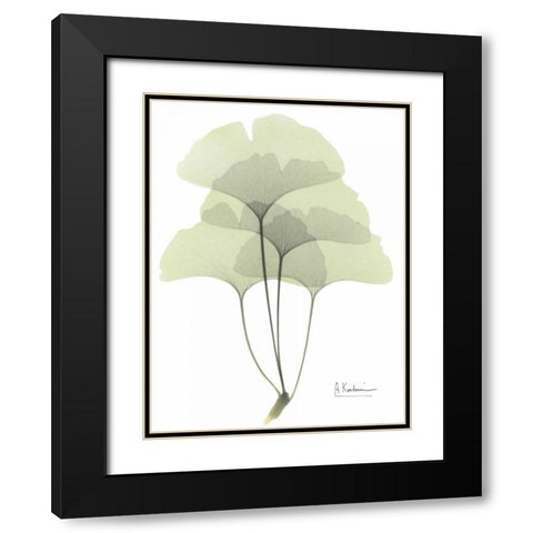 Gingko in Pale Green Black Modern Wood Framed Art Print with Double Matting by Koetsier, Albert