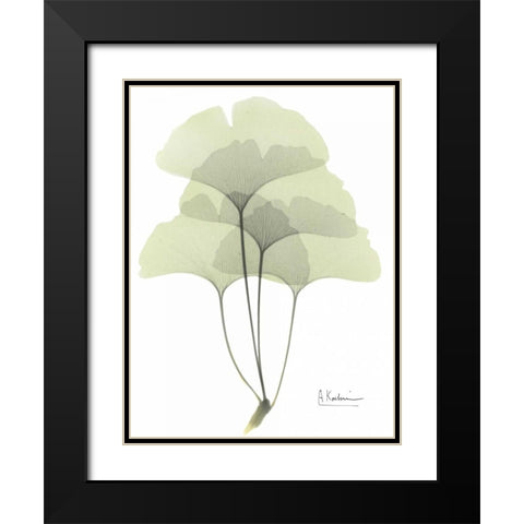 Gingko in Pale Green Black Modern Wood Framed Art Print with Double Matting by Koetsier, Albert