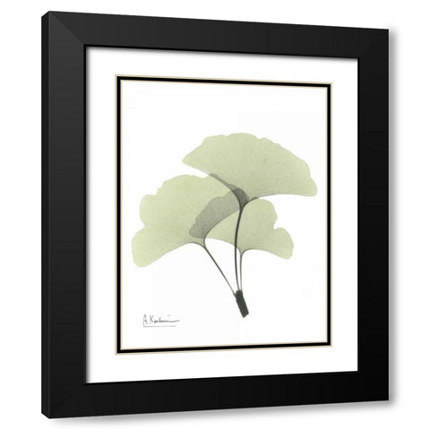Gingko in Pale Green 2 Black Modern Wood Framed Art Print with Double Matting by Koetsier, Albert