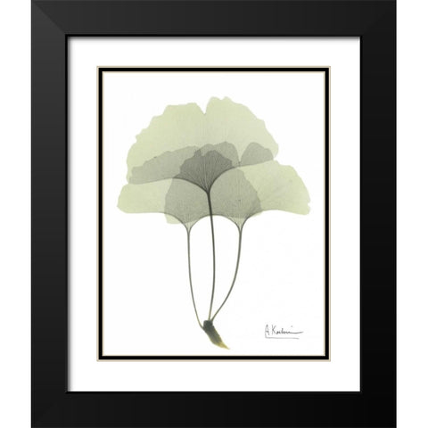 Gingko in Pale Green 3 Black Modern Wood Framed Art Print with Double Matting by Koetsier, Albert