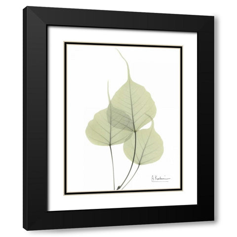 Bo Tree in Pale Green Black Modern Wood Framed Art Print with Double Matting by Koetsier, Albert