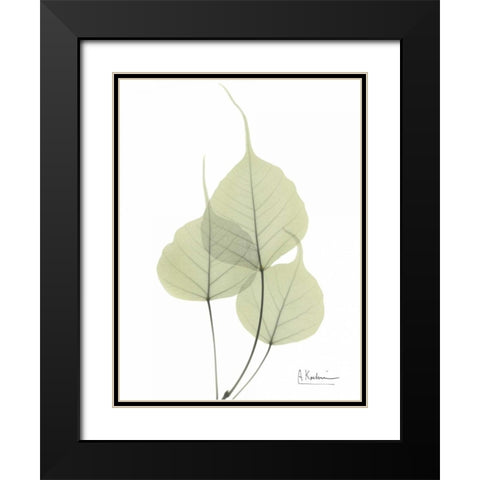 Bo Tree in Pale Green Black Modern Wood Framed Art Print with Double Matting by Koetsier, Albert