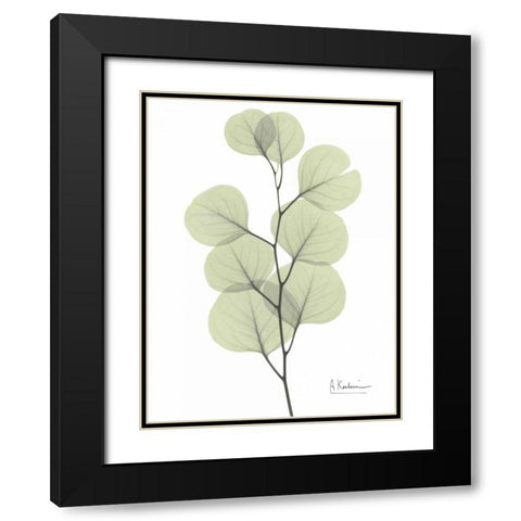 Eucalyptus in Pale Green Black Modern Wood Framed Art Print with Double Matting by Koetsier, Albert