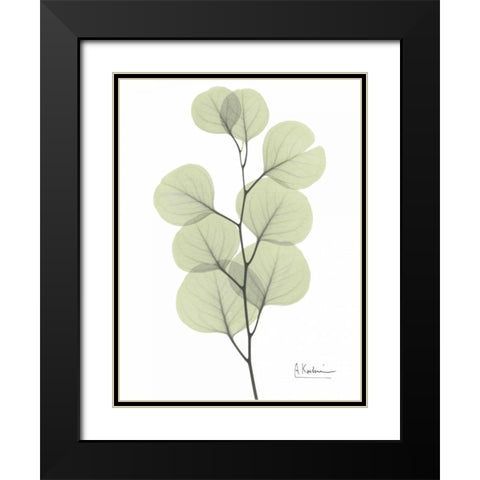 Eucalyptus in Pale Green Black Modern Wood Framed Art Print with Double Matting by Koetsier, Albert