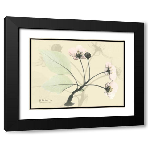 Wild Cherry on Beige Black Modern Wood Framed Art Print with Double Matting by Koetsier, Albert