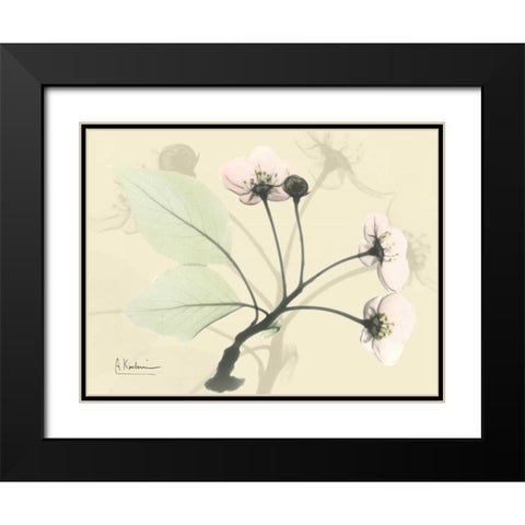 Wild Cherry on Beige Black Modern Wood Framed Art Print with Double Matting by Koetsier, Albert