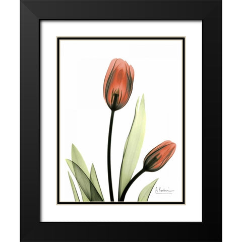 Red Tulips Black Modern Wood Framed Art Print with Double Matting by Koetsier, Albert