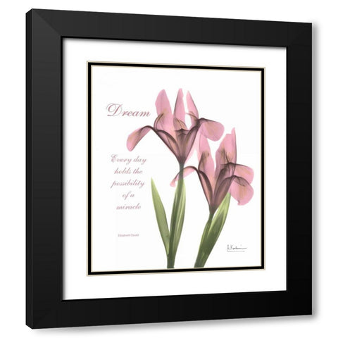 Pink Iris - Dream Black Modern Wood Framed Art Print with Double Matting by Koetsier, Albert