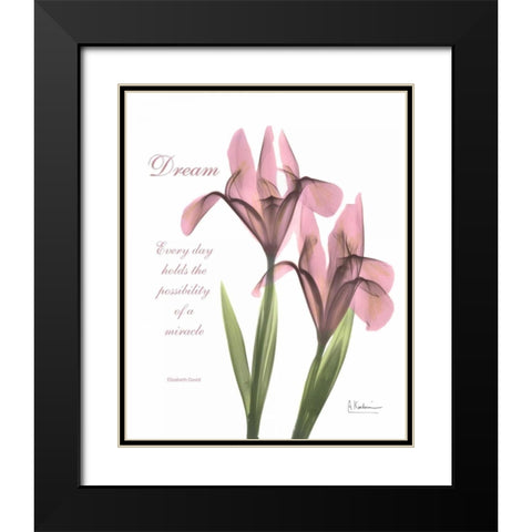 Pink Iris - Dream Black Modern Wood Framed Art Print with Double Matting by Koetsier, Albert