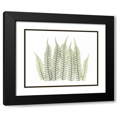 Tree Fern in Green 3 Black Modern Wood Framed Art Print with Double Matting by Koetsier, Albert