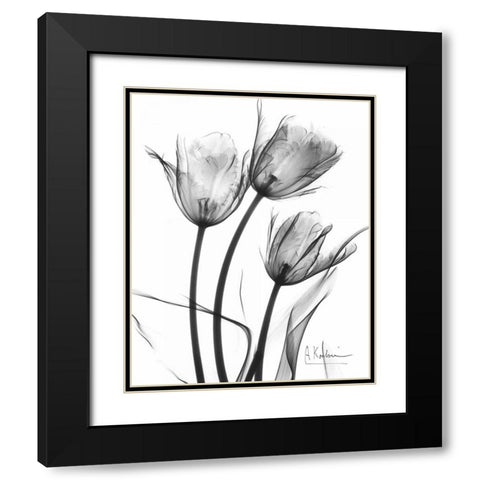 Tulip Arrangement in BandW Black Modern Wood Framed Art Print with Double Matting by Koetsier, Albert