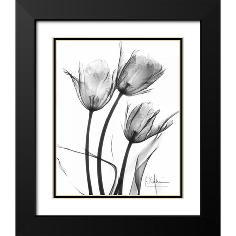 Tulip Arrangement in BandW Black Modern Wood Framed Art Print with Double Matting by Koetsier, Albert