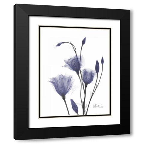 Gentian in Purple 2 Black Modern Wood Framed Art Print with Double Matting by Koetsier, Albert