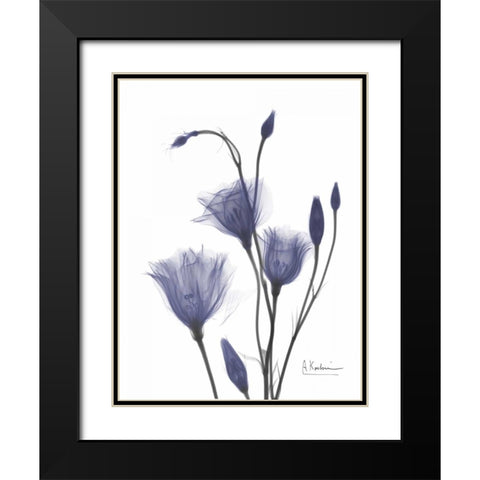 Gentian in Purple 2 Black Modern Wood Framed Art Print with Double Matting by Koetsier, Albert