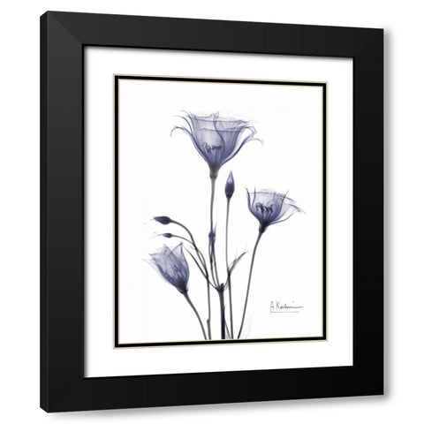 Gentian in Purple Black Modern Wood Framed Art Print with Double Matting by Koetsier, Albert