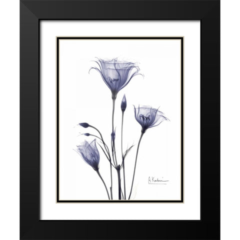 Gentian in Purple Black Modern Wood Framed Art Print with Double Matting by Koetsier, Albert