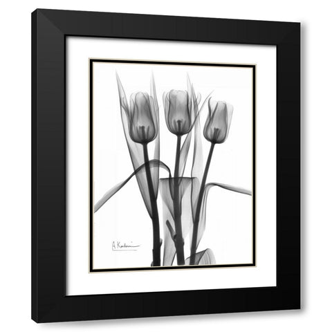 Triplet Tulips in BandW Black Modern Wood Framed Art Print with Double Matting by Koetsier, Albert