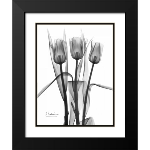 Triplet Tulips in BandW Black Modern Wood Framed Art Print with Double Matting by Koetsier, Albert