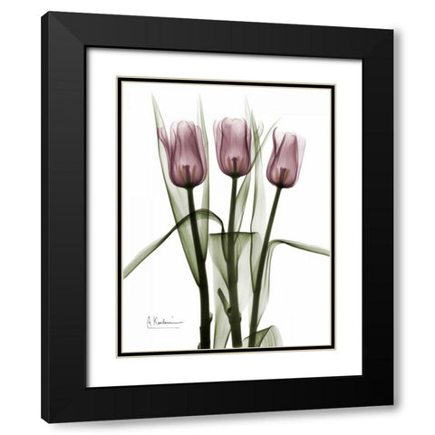 Triplet Tulips in Color Black Modern Wood Framed Art Print with Double Matting by Koetsier, Albert