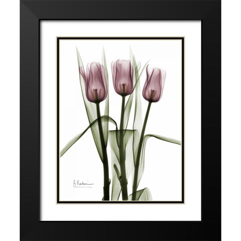 Triplet Tulips in Color Black Modern Wood Framed Art Print with Double Matting by Koetsier, Albert