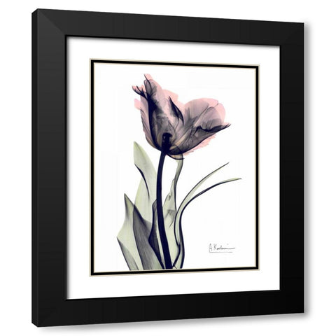 Single Tulip in Color Black Modern Wood Framed Art Print with Double Matting by Koetsier, Albert