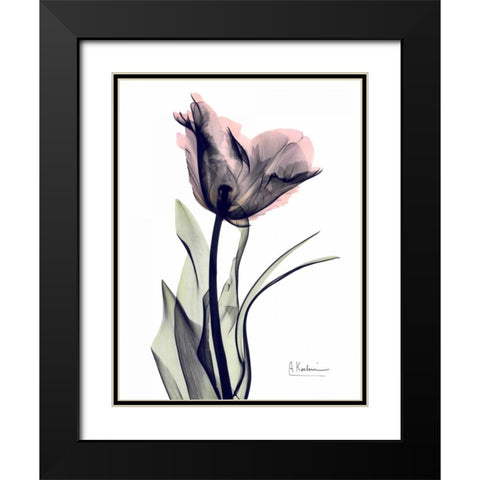 Single Tulip in Color Black Modern Wood Framed Art Print with Double Matting by Koetsier, Albert