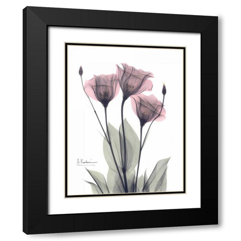 Three Gentian in Color Black Modern Wood Framed Art Print with Double Matting by Koetsier, Albert