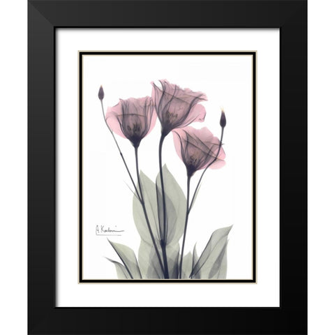 Three Gentian in Color Black Modern Wood Framed Art Print with Double Matting by Koetsier, Albert