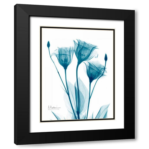 Three Gentian in Blue Black Modern Wood Framed Art Print with Double Matting by Koetsier, Albert