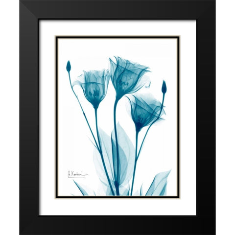 Three Gentian in Blue Black Modern Wood Framed Art Print with Double Matting by Koetsier, Albert