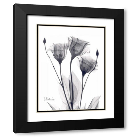 Three Gentian in BandW Black Modern Wood Framed Art Print with Double Matting by Koetsier, Albert