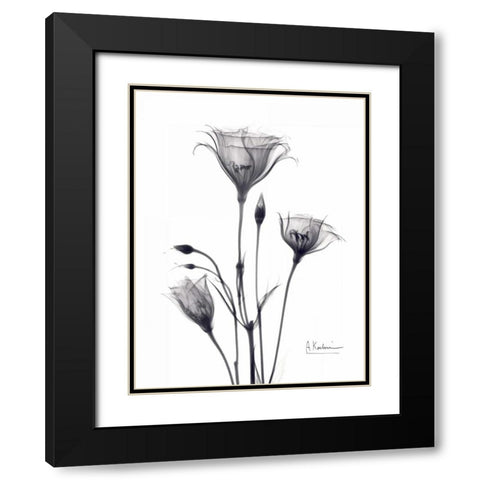 Bouquet of Gentian in BandW Black Modern Wood Framed Art Print with Double Matting by Koetsier, Albert