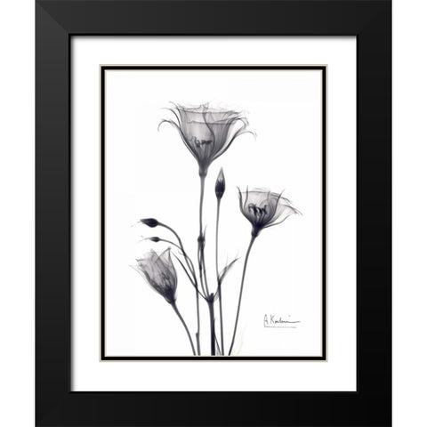 Bouquet of Gentian in BandW Black Modern Wood Framed Art Print with Double Matting by Koetsier, Albert