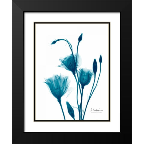 Bouquet of Gentian in Blue Black Modern Wood Framed Art Print with Double Matting by Koetsier, Albert