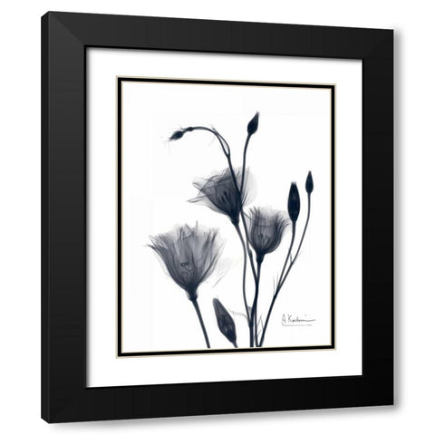 Bouquet of Gentian in BandW2 Black Modern Wood Framed Art Print with Double Matting by Koetsier, Albert