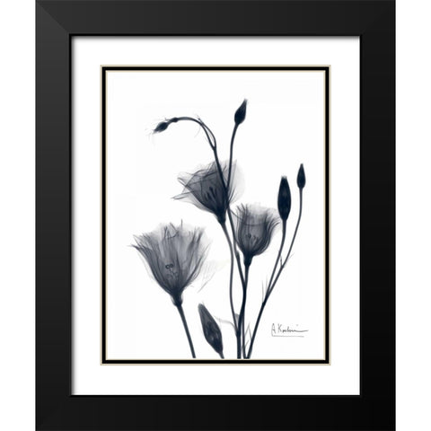 Bouquet of Gentian in BandW2 Black Modern Wood Framed Art Print with Double Matting by Koetsier, Albert