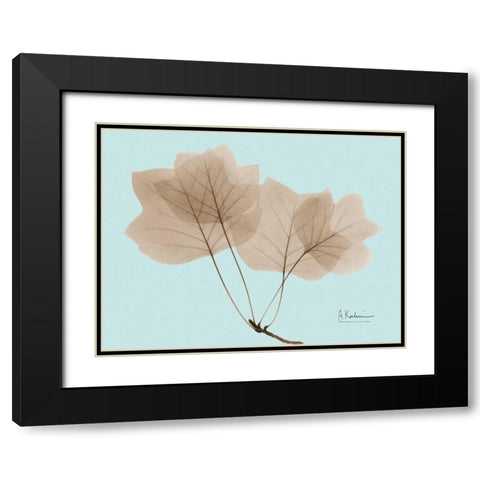 Tulip Tree in Brown on Blue Black Modern Wood Framed Art Print with Double Matting by Koetsier, Albert