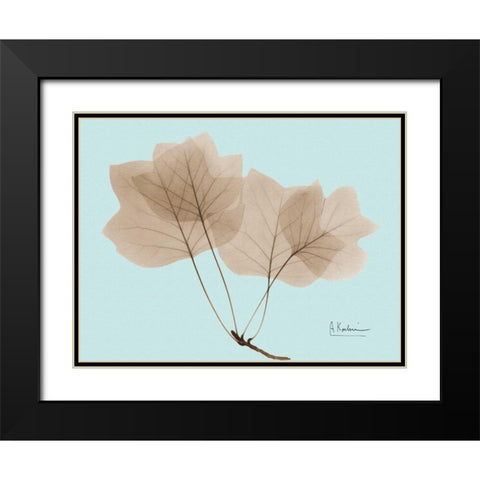 Tulip Tree in Brown on Blue Black Modern Wood Framed Art Print with Double Matting by Koetsier, Albert