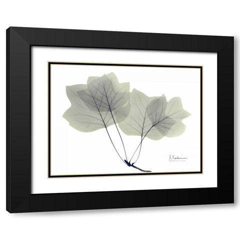 Tulip Tree in Green Black Modern Wood Framed Art Print with Double Matting by Koetsier, Albert