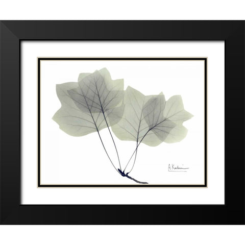 Tulip Tree in Green Black Modern Wood Framed Art Print with Double Matting by Koetsier, Albert