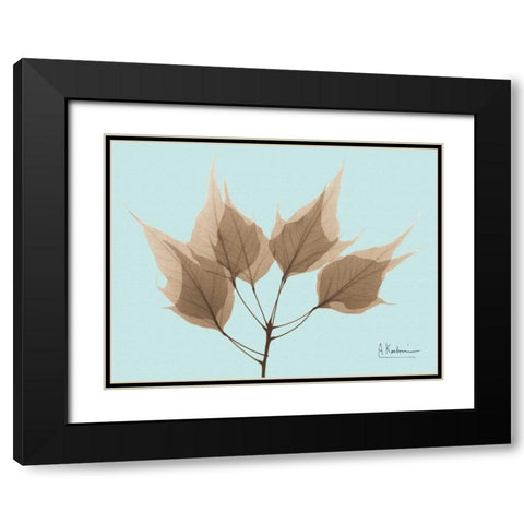 Father David Maple in Brown on Blue Black Modern Wood Framed Art Print with Double Matting by Koetsier, Albert